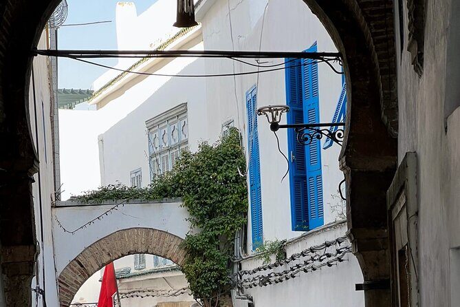 Full-Day Shore Excursion Private Tour in Tunisia Carthage ,Medina, Sidi Bou said - Authenticity and Guide Expertise