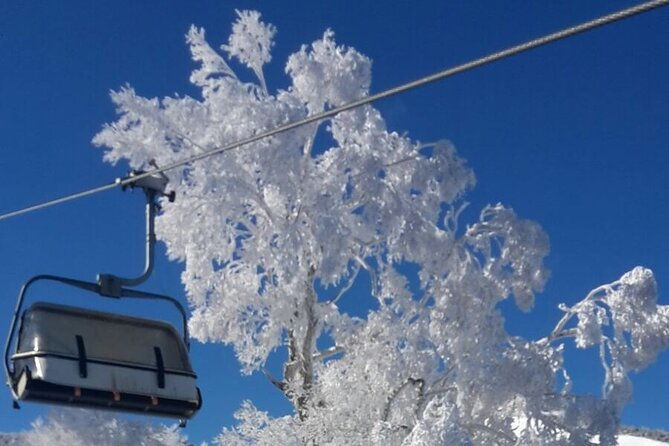 full-day-ski-lesson-6-hours-in-yuzawa-japan