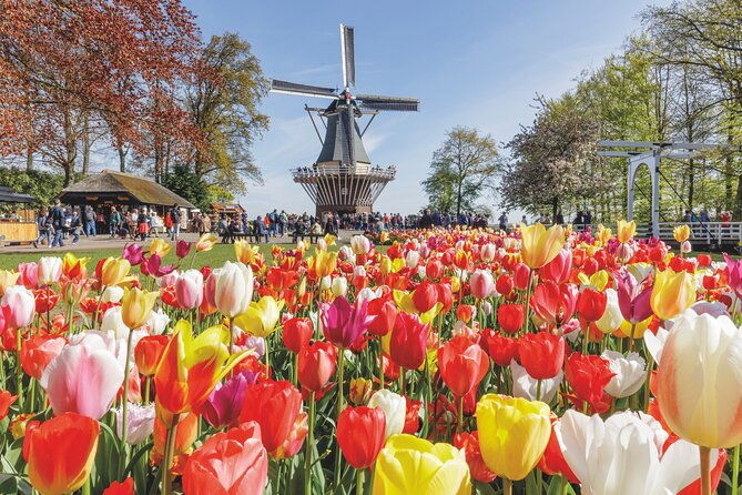 full-day-skip-the-line-keukenhof-and-canal-cruise-from-amsterdam