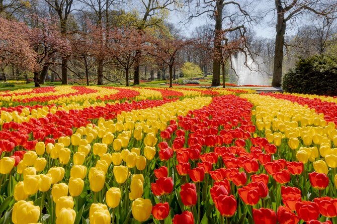 full-day-skip-the-line-keukenhof-and-canal-cruise-from-amsterdam