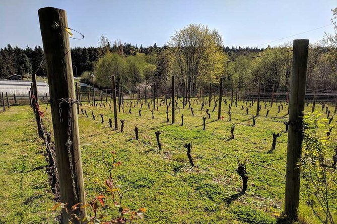 full-day-small-group-bainbridge-island-wine-and-history-tour-2