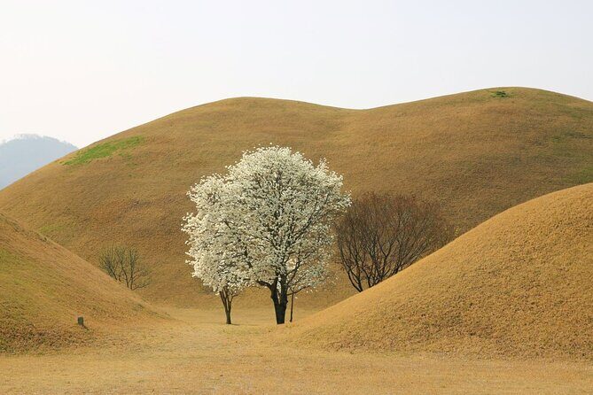 Full-Day Small Group GyeongJu History Tour from Seoul - Who Will Love This Tour?