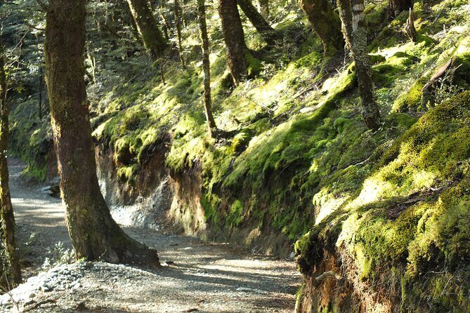 Full Day Small Group Routeburn Valley Hike - Frequently Asked Questions
