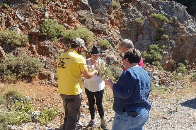 full-day-small-group-tour-in-crete-the-cave-of-zeus