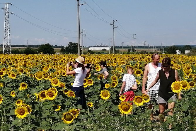 Full-Day Small-Group Tour of Bulgaria by Minivan with Lunch - Who Is This Tour Best For?