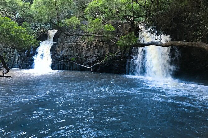 full-day-small-group-tour-of-maui-waterfall-beach-and-hana