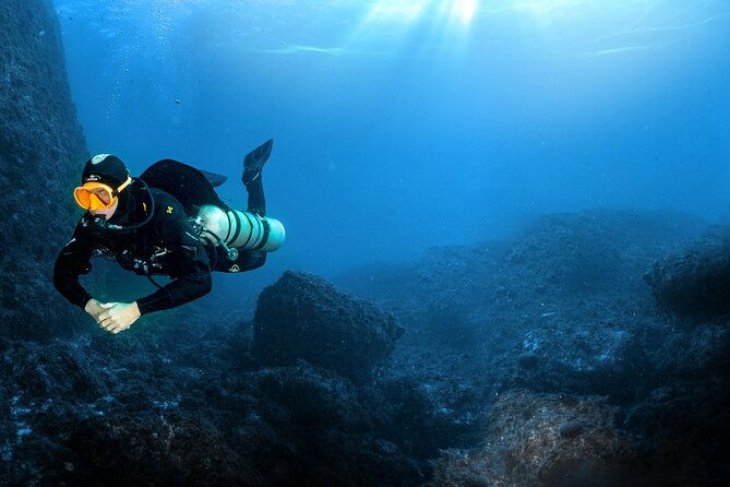 full-day-snorkeling-and-guided-dive-in-the-calanques-national-park-from-marseille-2