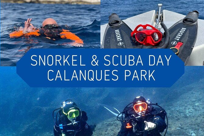 full-day-snorkeling-and-guided-dive-in-the-calanques-national-park-from-marseille