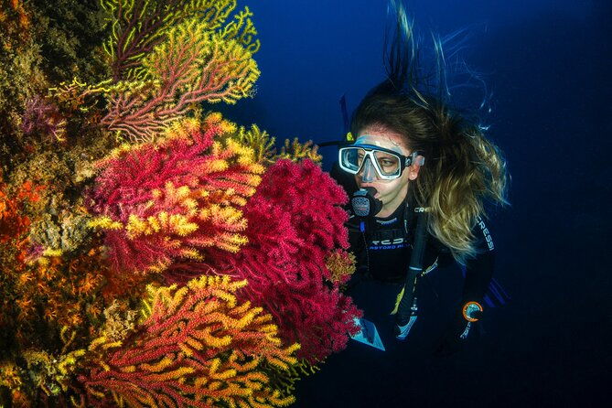 full-day-snorkeling-and-guided-dive-in-the-calanques-national-park-from-marseille
