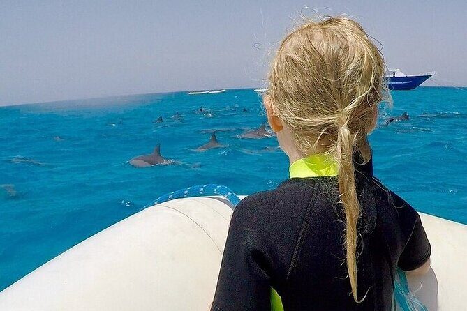 Full Day Snorkeling in Hurghada Dolphin House - What is the Full Day Snorkeling in Hurghada Dolphin House Experience?