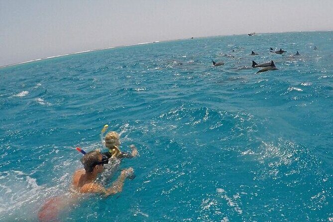 Full Day Snorkeling in Hurghada Dolphin House - FAQ