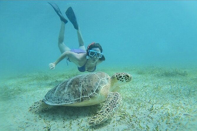 full-day-snorkeling-tour-to-culebra-island-with-lunch
