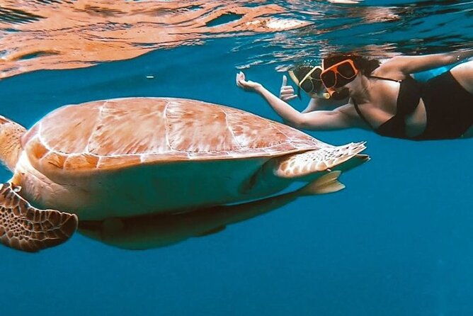 full-day-snorkeling-tour-to-culebra-island-with-lunch