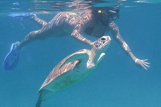 full-day-snorkeling-tour-to-culebra-island-with-lunch