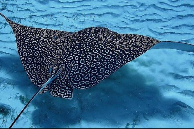 full-day-snorkeling-tour-to-culebra-island-with-lunch
