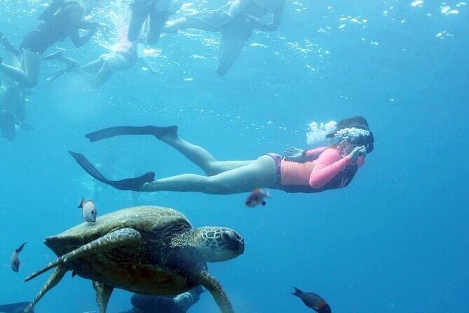 Full-Day Snorkeling Tour to Utopia Island from Luxor - What to Expect from the Full-Day Snorkeling Tour