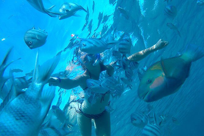 Full-Day Snorkeling with Dolphins in Hurghada with Lunch - Key Points