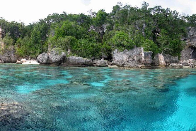 Full Day Snorkelling Cruise in Tranquility Island Resort - Who Would Love This Tour?
