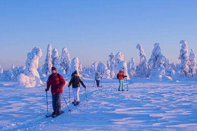 full-day-snowshoeing-adventure-in-amethyst-mine-pyha-luosto