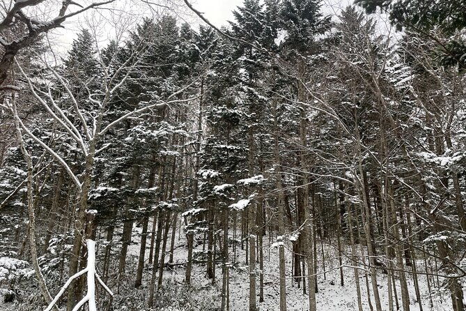 full-day-snowshoeing-adventures-with-onsen