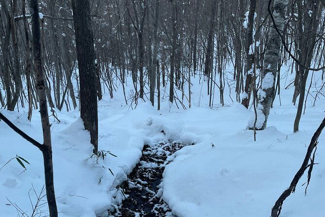 full-day-snowshoeing-adventures-with-onsen