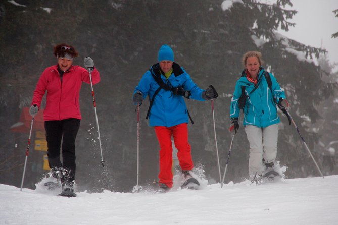 full-day-snowshoeing-in-high-tatras-with-local-mountain-guide-from-poprad
