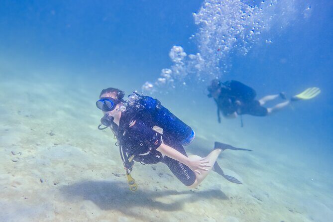 Full-Day Special Wasini Island Tour with Snorkeling and Lunch - Visiting the Coral Garden