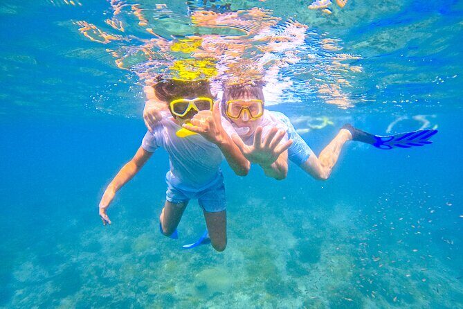 Full-Day Special Wasini Island Tour with Snorkeling and Lunch - Practical Details and Logistics
