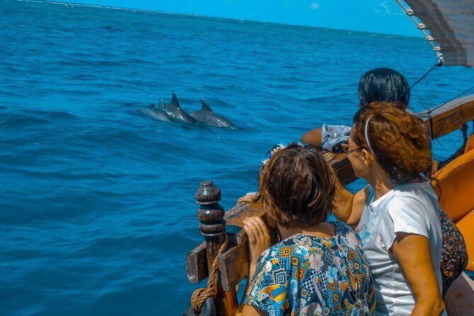 Full-Day Special Wasini Island Tour with Snorkeling and Lunch - What to Expect in Terms of Comfort and Group Size