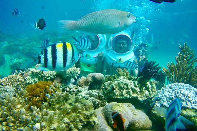 Full-Day Speedboat Guided Tour With Sea Walking Included Lunch And Entrance Fees - Key Points