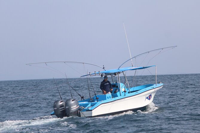 full-day-sportfishing-charter-inshore-or-offshore
