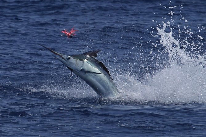 full-day-sportsman-enthusiast-charter
