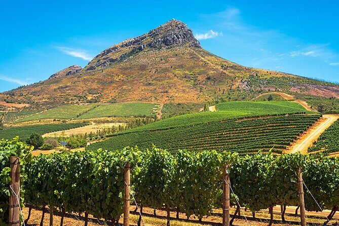 Full Day Stellenbosch Paarl and Franschhoek Private Wine Tour - The Sum Up