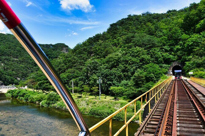 Full Day Strawberry Picking and Rail Bike in Nami Island - What Makes This Tour Stand Out?