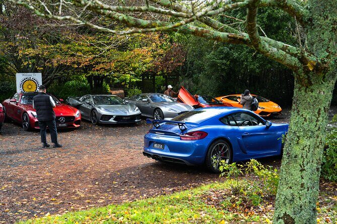 Full-Day Supercar Drive Experience from Auckland (lunch included) - The Itinerary Breakdown