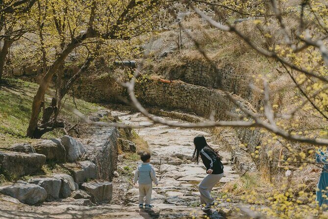 Full Day Suwon Hwaseong and Yellow Spring Flower Festival Tour - Who Is This Tour Best For?