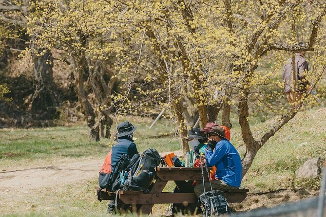 Full Day Suwon Hwaseong and Yellow Spring Flower Festival Tour - Final Thoughts