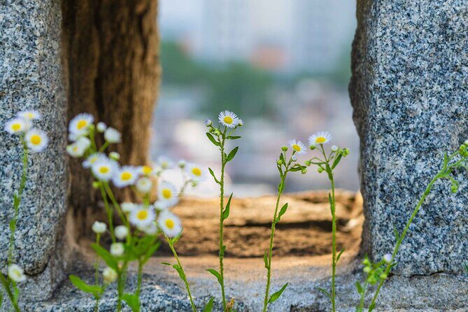 Full Day Suwon Hwaseong and Yellow Spring Flower Festival Tour - FAQ