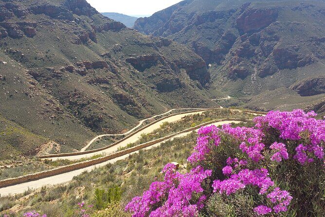 Full-Day Swartberg Mountain PRIVATE Tour (including lunch and transfers) - Final Thoughts  