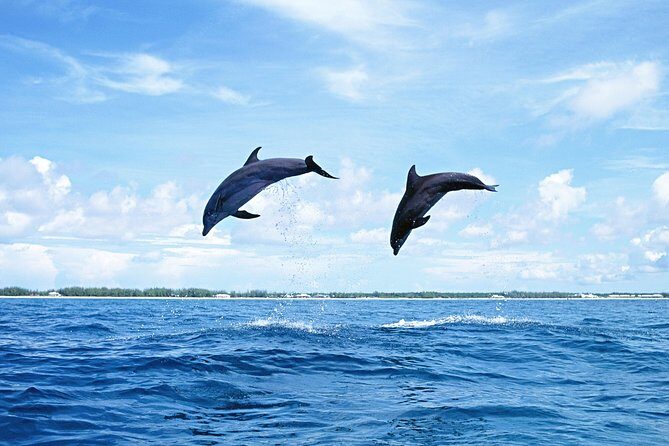 Full-Day Swimming with Dolphins and Casela Nature Park Tour in Mauritius - Exploring Casela at Your Own Pace