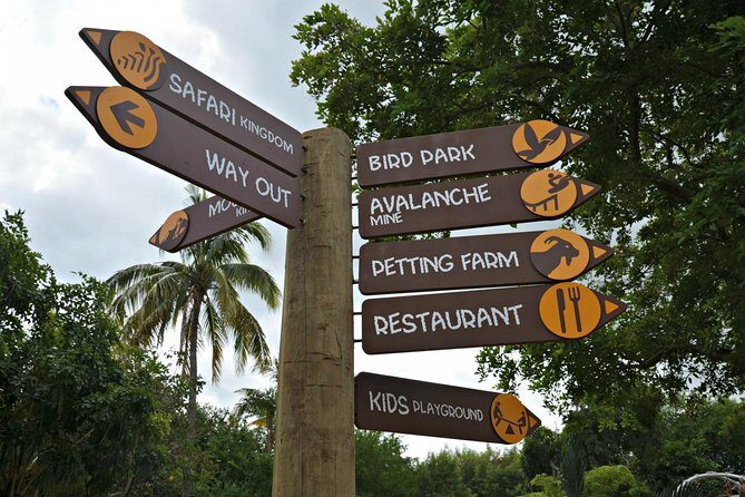 Full-Day Swimming with Dolphins and Casela Nature Park Tour in Mauritius - The Sum Up