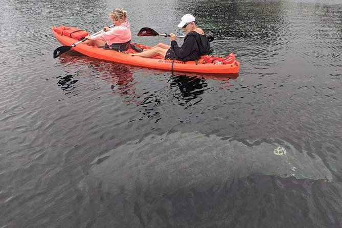 full-day-tandem-kayak-rental-for-two-people-in-crystal-river-florida