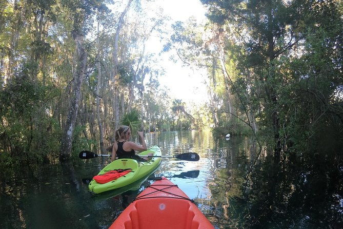 full-day-tandem-kayak-rental-for-two-people-in-crystal-river-florida
