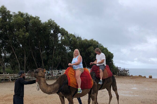 Full day Tangier Tour from Cruise or ferry from tarifa - What to Expect from the Itinerary