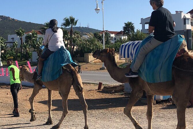 Full day Tangier Tour from Cruise or ferry from tarifa - Authentic Experiences and Hidden Gems