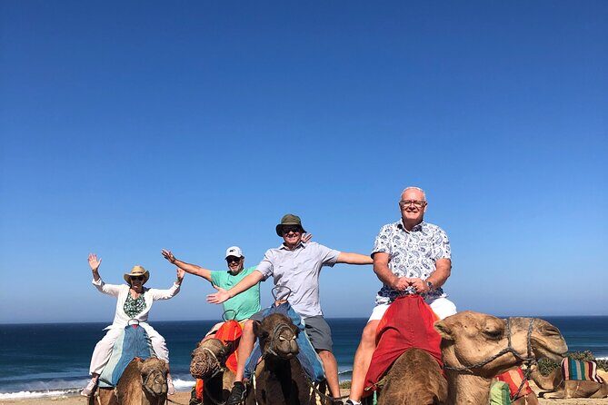 Full day Tangier Tour from Cruise or ferry from tarifa - FAQ
