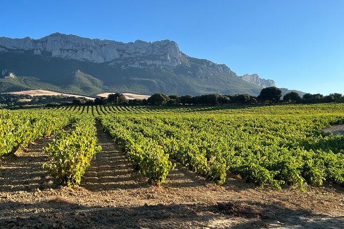 full-day-tasting-the-unknown-rioja-wine-region