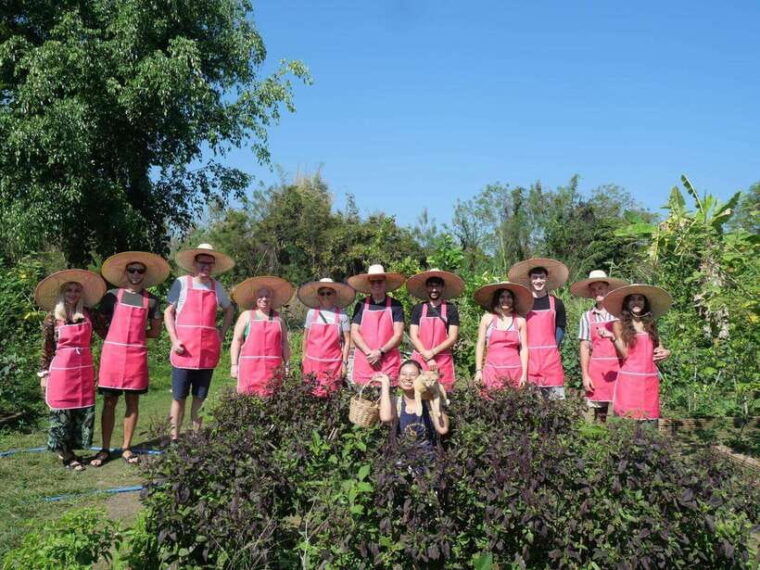 full-day-thai-cooking-class-in-organic-farm-and-market