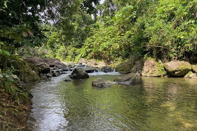 full-day-tinajas-hiking-to-el-yunque-rainforest-with-transport