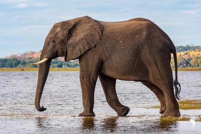 Full Day To Arusha National Park - Frequently Asked Questions  